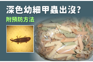 食物有穀牛? 5個預防及除穀牛方法