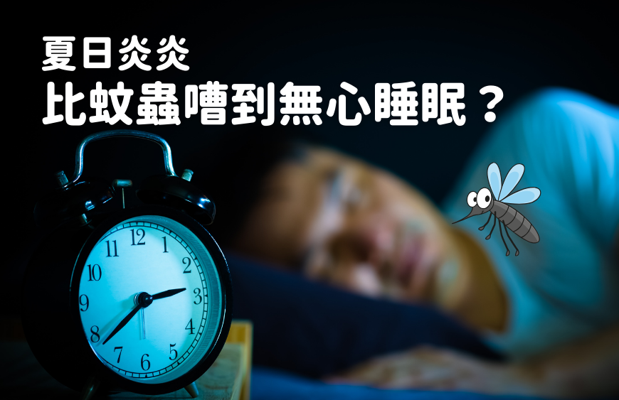 晚晚被蚊蟲煩擾 難以入睡 ? ｜夏季家居防蚊措施